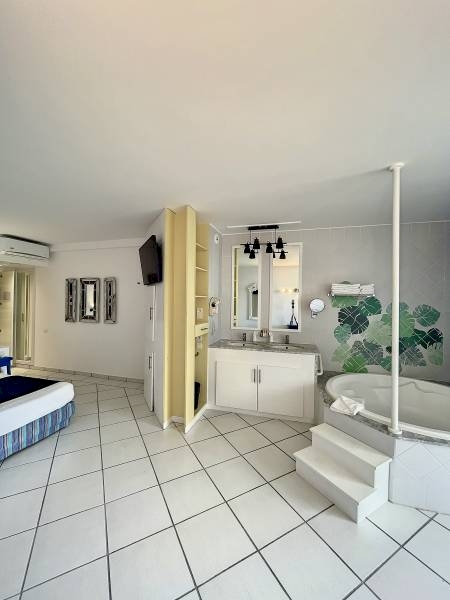 Bedroom with garden view with bathtub